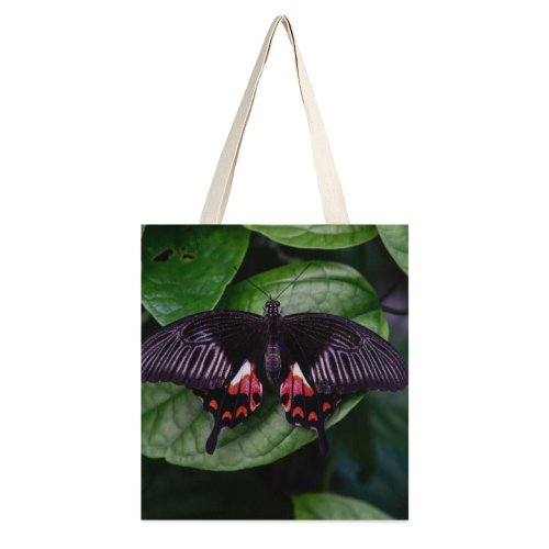yanfind Great Martin Canvas Tote Bag Double Butterfly Insect Invertebrate Leaf Plant white-style1 38×41cm