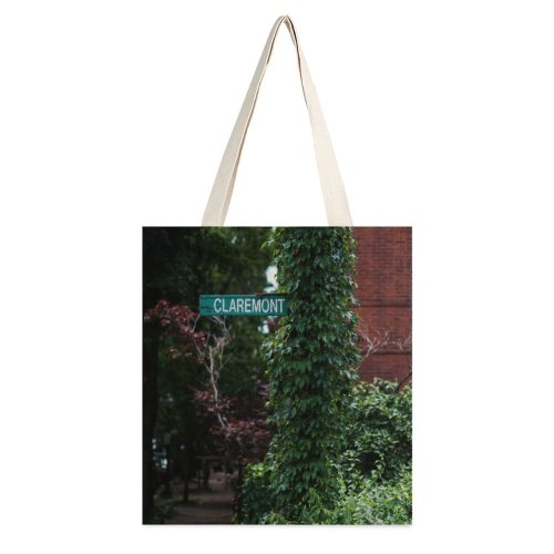 yanfind Great Martin Canvas Tote Bag Double Boston Plant Claremont Street United States Conifer Flora Tree Foliage Leaves Leaf white-style1 38×41cm