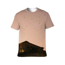 yanfind Adult Full Print T-shirts (men And Women) Aged Architecture Avian Bird Building Calm City Construction Space Dark Dusk