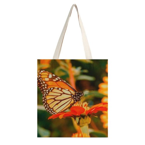 yanfind Great Martin Canvas Tote Bag Double Butterfly Insect Monarch Invertebrate Plant Garden Flowers Flower Buterfly Pupae Larvae white-style1 38×41cm