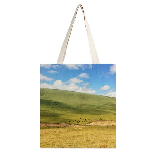 yanfind Great Martin Canvas Tote Bag Double Field Outdoors Grassland Countryside Farm Pasture Rural Meadow Savanna Ranch Land Stock white-style1 38×41cm
