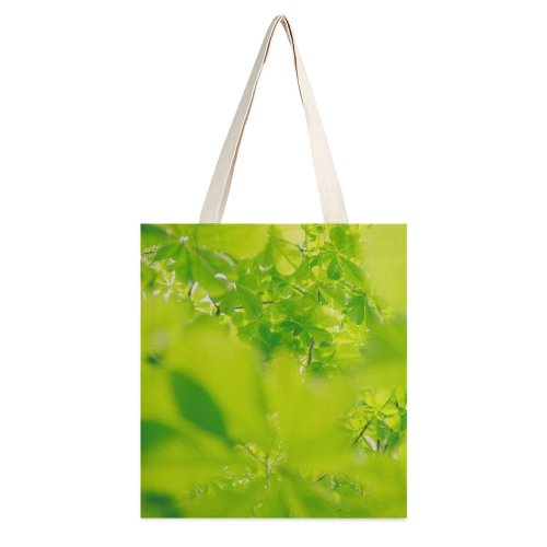 yanfind Great Martin Canvas Tote Bag Double Dill Flora Plant Seasoning Japan Tree Leaves Refresh Eco Outdoors white-style1 38×41cm