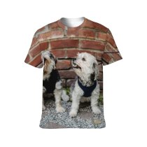 yanfind Adult Full Print T-shirts (men And Women) Adorable Attention Brick Wall Carefree Courtyard Creature Curious Cute Dog