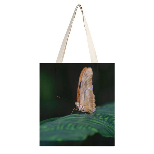 yanfind Great Martin Canvas Tote Bag Double Butterfly Insect Invertebrate Birds Photo Moth white-style1 38×41cm