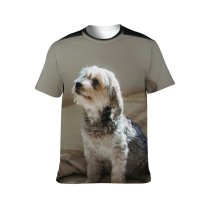 yanfind Adult Full Print T-shirts (men And Women) Adorable Alone Apartment Attentive Blurred Calm Comfort Couch Cozy Creature Curious