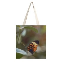 yanfind Great Martin Canvas Tote Bag Double Butterfly Insect Invertebrate Bee Honey Monarch Public Domain white-style1 38×41cm