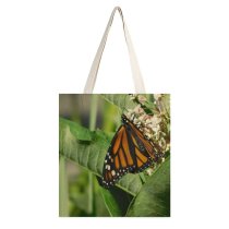 yanfind Great Martin Canvas Tote Bag Double Butterfly Insect Invertebrate Monarch white-style1 38×41cm