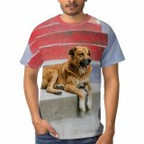 yanfind Adult Full Print T-shirts (men And Women) Adorable Alone Blurred Calm Colorful Creature Curious Cute Dog Enjoy Exterior