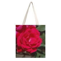 yanfind Great Martin Canvas Tote Bag Double Flower Plant Rose Geranium Virginia Usa Petal white-style1 38×41cm