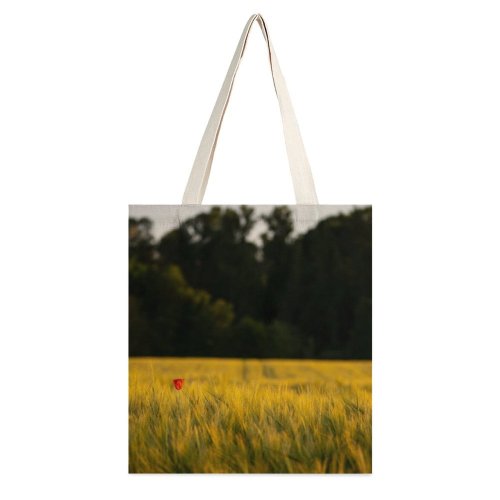 yanfind Great Martin Canvas Tote Bag Double Field Grassland Outdoors Countryside Farm Meadow Rural Auweg Neckarzimmern Plant Grass Spring white-style1 38×41cm