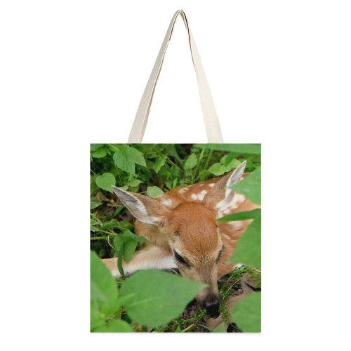 yanfind Great Martin Canvas Tote Bag Double Butterfly Insect Invertebrate Moth Plant Wildlife Pennsylvania United States Baby Deer Lay white-style1 38×41cm