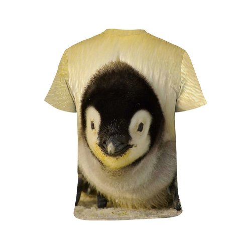 yanfind Adult Full Print T-shirts (men And Women) Antarctic Antarctica Bird Cute Emperor Penguin Fur Isolated Polar Snow Wild