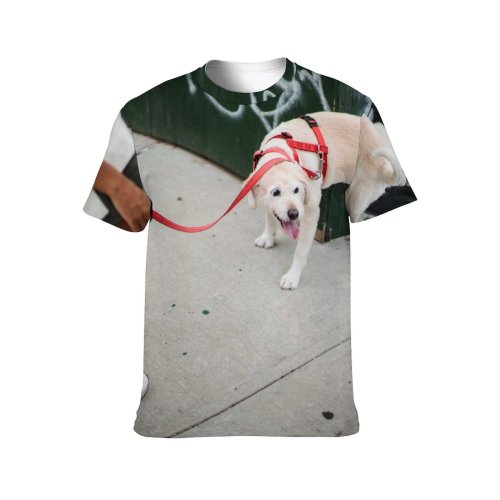 yanfind Adult Full Print T-shirts (men And Women) Adorable Anonymous Casual City Creature Crop Dog Ethnic Faceless Female Footpath
