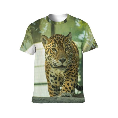 yanfind Adult Full Print T-shirts (men And Women) Africa Attentive Beast Cat Conserve Creature Curious Danger Ecosystem Fauna Fur