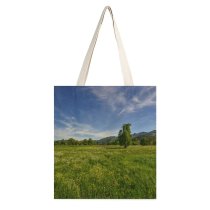 yanfind Great Martin Canvas Tote Bag Double Field Grassland Outdoors Countryside Farm Rural Meadow Czech Republic Pasture Stock white-style1 38×41cm