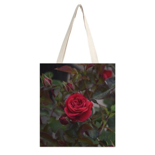 yanfind Great Martin Canvas Tote Bag Double Rose Flower Plant Acanthaceae white-style1 38×41cm