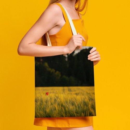 yanfind Great Martin Canvas Tote Bag Double Field Grassland Outdoors Countryside Farm Meadow Rural Auweg Neckarzimmern Plant Grass Spring white-style1 38×41cm