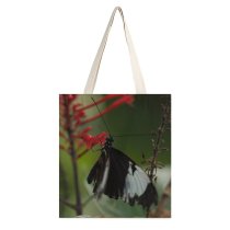 yanfind Great Martin Canvas Tote Bag Double Butterfly Insect Invertebrate Plant Leaf white-style1 38×41cm
