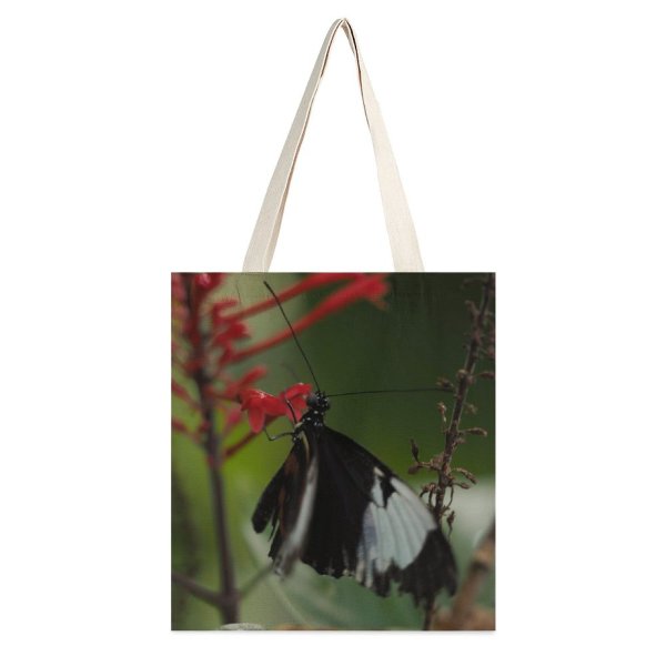 yanfind Great Martin Canvas Tote Bag Double Butterfly Insect Invertebrate Plant Leaf white-style1 38×41cm