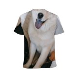 yanfind Adult Full Print T-shirts (men And Women) Akita Inu Anonymous Apartment Beard Casual Content Daytime Dog Ethnic