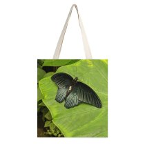 yanfind Great Martin Canvas Tote Bag Double Butterfly Insect Invertebrate Leaf Plant Birds Public Domain white-style1 38×41cm