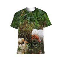 yanfind Adult Full Print T-shirts (men And Women) Adorable Avian Beak Bird Watching Calm Creature Cute Daylight Ecosystem Feather