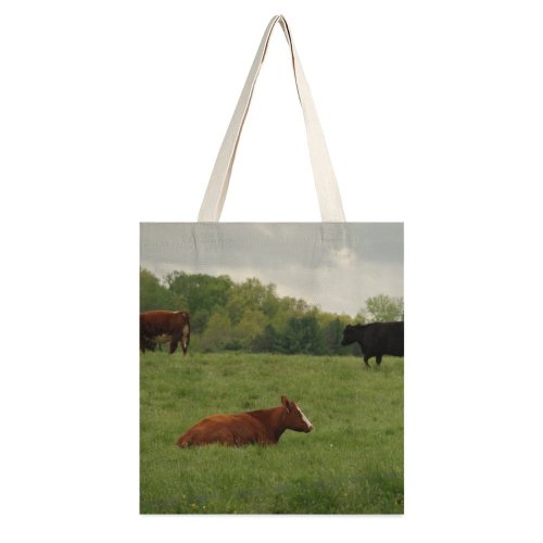 yanfind Great Martin Canvas Tote Bag Double Cattle Cow Field Grassland Outdoors Countryside Farm Meadow Rural Pasture Ranch Grazing white-style1 38×41cm