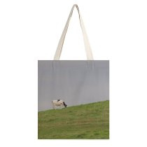 yanfind Great Martin Canvas Tote Bag Double Field Grassland Outdoors Countryside Farm Rural Cow Meadow Pasture Eau Claire Wi white-style1 38×41cm