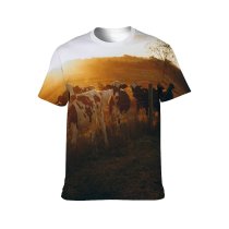 yanfind Adult Full Print T-shirts (men And Women) Agriculture Backlit Calm Cattle Colorful Countryside Cow Creature Domesticated Evening Farm Farmland