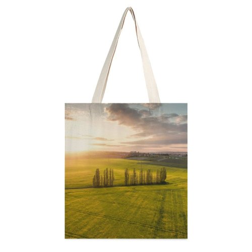 yanfind Great Martin Canvas Tote Bag Double Field Outdoors Grassland Countryside Rural Farm Meadow Dresden Land Grass Plant white-style1 38×41cm