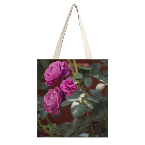 yanfind Great Martin Canvas Tote Bag Double Flower Plant Rose Geranium Birds white-style1 38×41cm