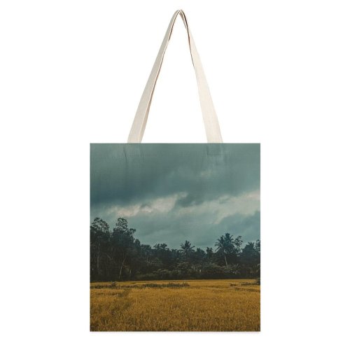 yanfind Great Martin Canvas Tote Bag Double Field Grassland Outdoors Countryside Paddy Anguruwathota Sri Lanka Plant Vegetation Grey white-style1 38×41cm