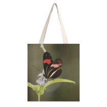 yanfind Great Martin Canvas Tote Bag Double Butterfly Insect Invertebrate Plant Birds Flower white-style1 38×41cm