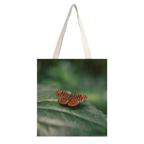 yanfind Great Martin Canvas Tote Bag Double Butterfly Insect Invertebrate Escaped Quebradillas Puerto Rico Macro Photo Public white-style1 38×41cm