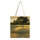 yanfind Great Martin Canvas Tote Bag Double Field Grassland Outdoors Landscape Grass Plant Savanna Paraíba Brasil Tree Vegetation Countryside white-style1 38×41cm