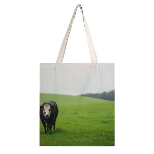 yanfind Great Martin Canvas Tote Bag Double Field Cattle Cow Grassland Outdoors Countryside Farm Rural Pasture Scotland Meadow Grazing white-style1 38×41cm