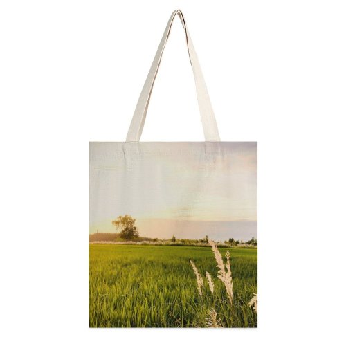 yanfind Great Martin Canvas Tote Bag Double Field Grassland Outdoors Plant Vegetation Countryside Grass Paddy Rural Land Farm Public white-style1 38×41cm