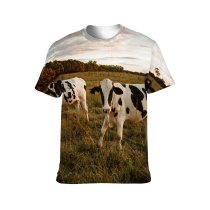 yanfind Adult Full Print T-shirts (men And Women) Agriculture Calm Cattle Countryside Cow Creature Curious Dawn Domesticated Evening Farm Farmland