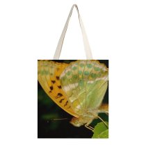 yanfind Great Martin Canvas Tote Bag Double Butterfly Insect Invertebrate Moth Stock white-style1 38×41cm