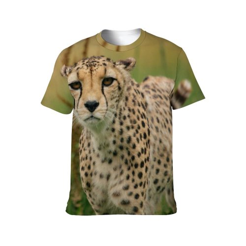yanfind Adult Full Print T-shirts (men And Women) Amazing Beauty Biology Botanic Botany Calm Carnivore Countryside Danger Detail Ecology