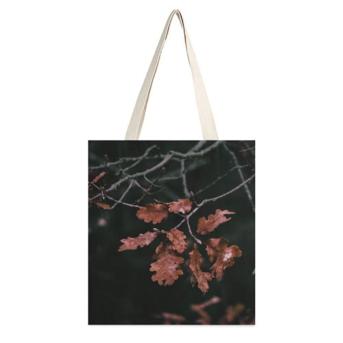 yanfind Great Martin Canvas Tote Bag Double Croatia Tree Flower Flora Plant Arachnid Garden Insect Invertebrate Dead white-style1 38×41cm