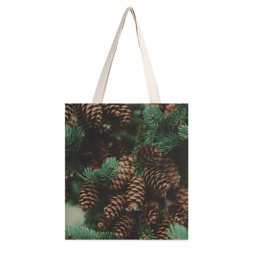 yanfind Great Martin Canvas Tote Bag Double Christmas Conifer Flora Plant Tree Spruce Cone Pine Foliage Branch Leaves Winter white-style1 38×41cm