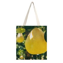 yanfind Great Martin Canvas Tote Bag Double Citrus Fruit Fruits Grapefruit Plant Produce white-style1 38×41cm