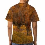yanfind Adult Full Print T-shirts (men And Women) Aerial Area Autumn Breathtaking Calm Colorful Deciduous Drone Fall Flora Foliage Forest