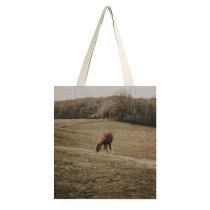 yanfind Great Martin Canvas Tote Bag Double Field Grassland Outdoors Countryside Farm Rural Grazing Meadow Pasture Ranch Horse France white-style1 38×41cm