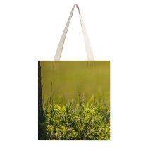 yanfind Great Martin Canvas Tote Bag Double Field Grassland Outdoors Plant Countryside Farm Meadow Rural Grass Flower Jar white-style1 38×41cm