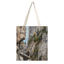 yanfind Great Martin Canvas Tote Bag Double Cliff Outdoors Plant Tree Rock white-style1 38×41cm