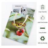 yanfind Great Martin Canvas Tote Bag Double Butterfly Insect Invertebrate Plant Forest Mariposa Monarch Photo Leaf white-style1 38×41cm