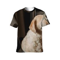 yanfind Adult Full Print T-shirts (men And Women) Adorable Alone Apartment Blurred Calm Carefree Chair Comfort Curious Daylight Dog
