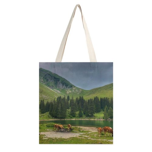 yanfind Great Martin Canvas Tote Bag Double Cow Cattle Outdoors Grassland Field Range Countryside Gantrischseeli Rüschegg Schweiz Rural white-style1 38×41cm